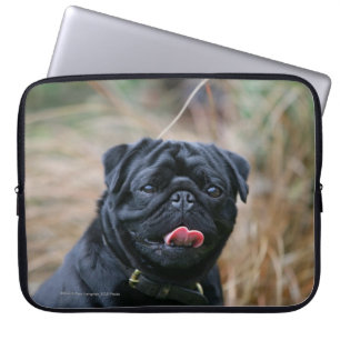 Black Pug Panting While Looking at Camera Laptop Sleeve