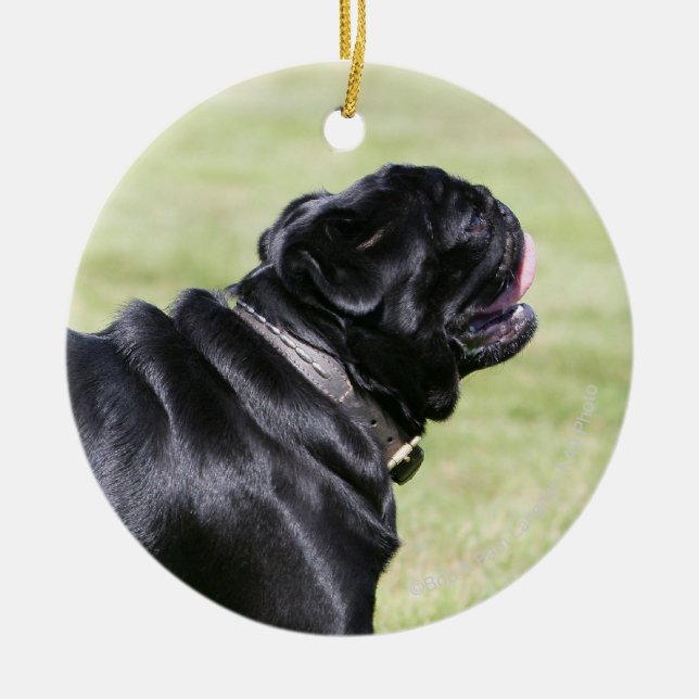 Black Pug Panting While Walking Ceramic Ornament (Front)