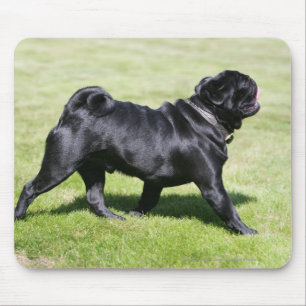Black Pug Panting While Walking Mouse Pad