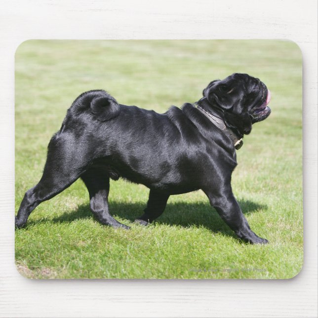 Black Pug Panting While Walking Mouse Pad (Front)