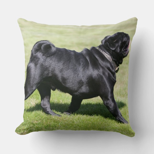 Black Pug Panting While Walking Throw Pillow (Front)