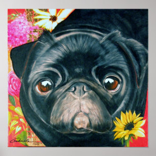 Black Pug Print