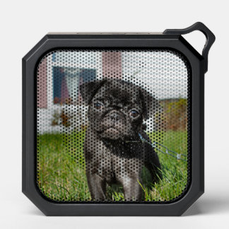 Black Pug Puppy Bluetooth Speaker