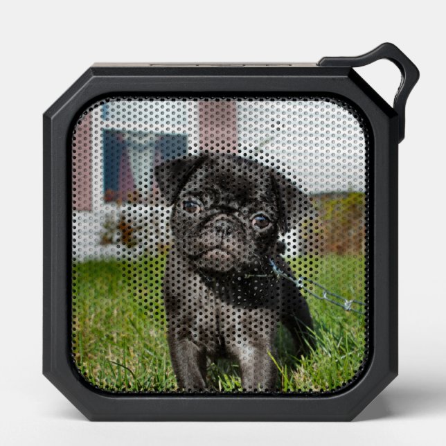 Black Pug Puppy Bluetooth Speaker (Front)