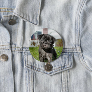 bLACK PUG PUPPY Button