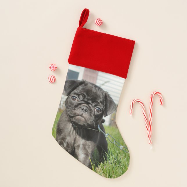 Black pug puppy christmas stocking (Front)