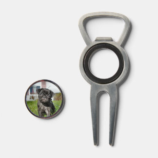 Black pug puppy divot tool