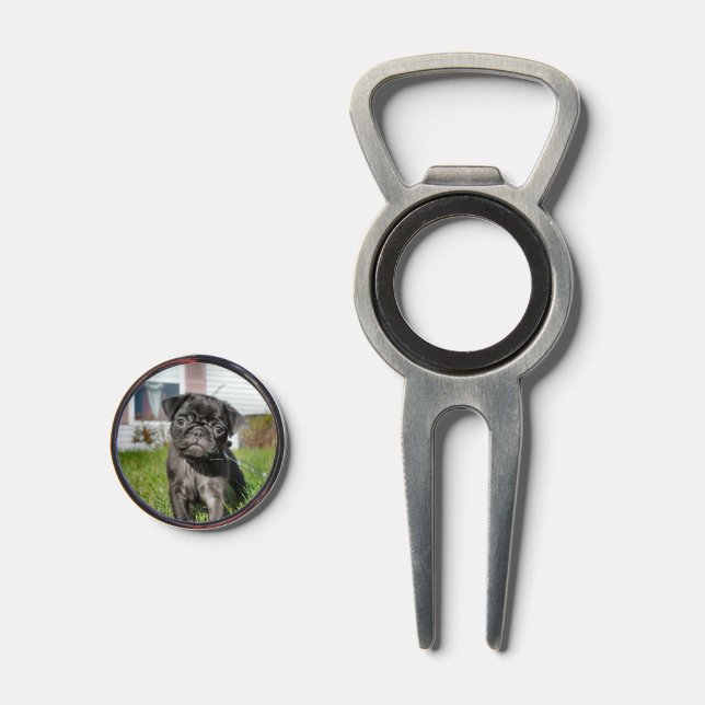 Black pug puppy divot tool (Front (Open))