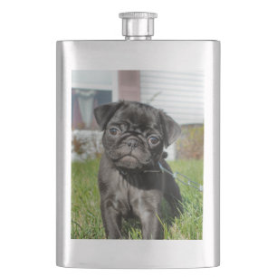 Black pug puppy flask