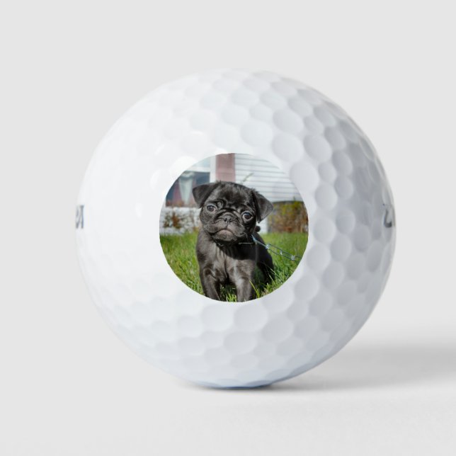 Black Pug puppy Golf Balls (Front)