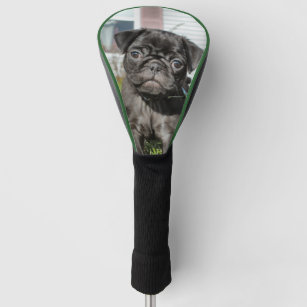 Black Pug puppy Golf Head Cover