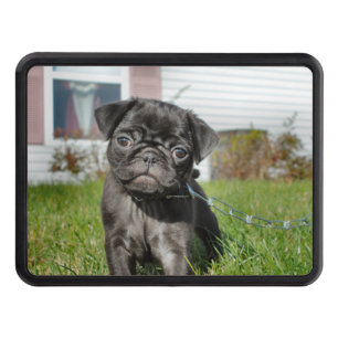 Black Pug puppy Hitch Cover