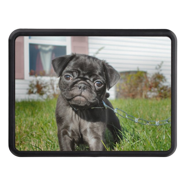 Black Pug puppy    Hitch Cover (Front)