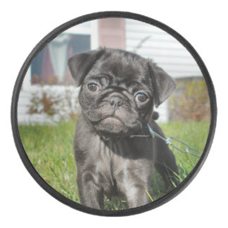 Black Pug Puppy Hockey Puck