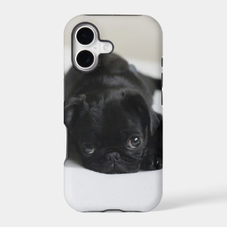 Black Pug Puppy iPhone 17 Case