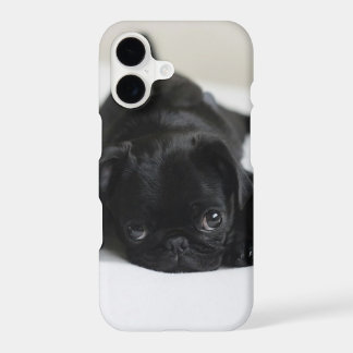Black Pug Puppy iPhone 17 Case