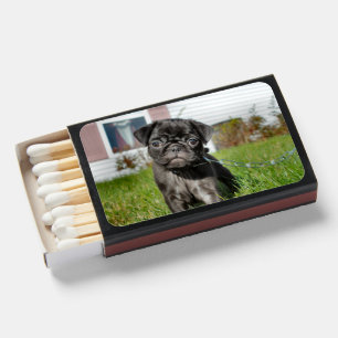 Black Pug Puppy Matchboxes