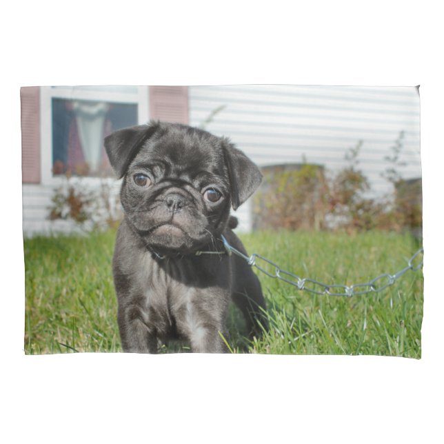 Black Pug puppy Pillow Case (Front)