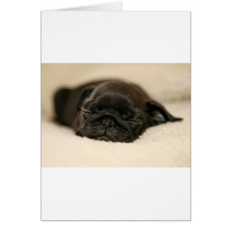 Black Pug Puppy Sleeping Cards