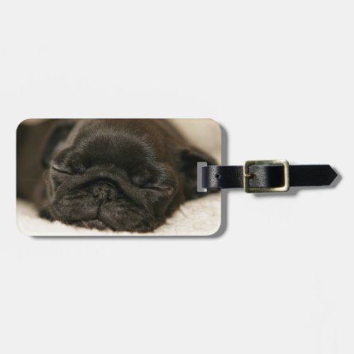 Black Pug Puppy Sleeping Luggage Tag