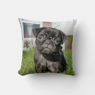 Black pug puppy throw pillow