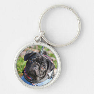 Black Pug Puppy Wearing A Jacket Keychain
