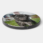 Black Pug Puppy Wireless Charger (Front 2)