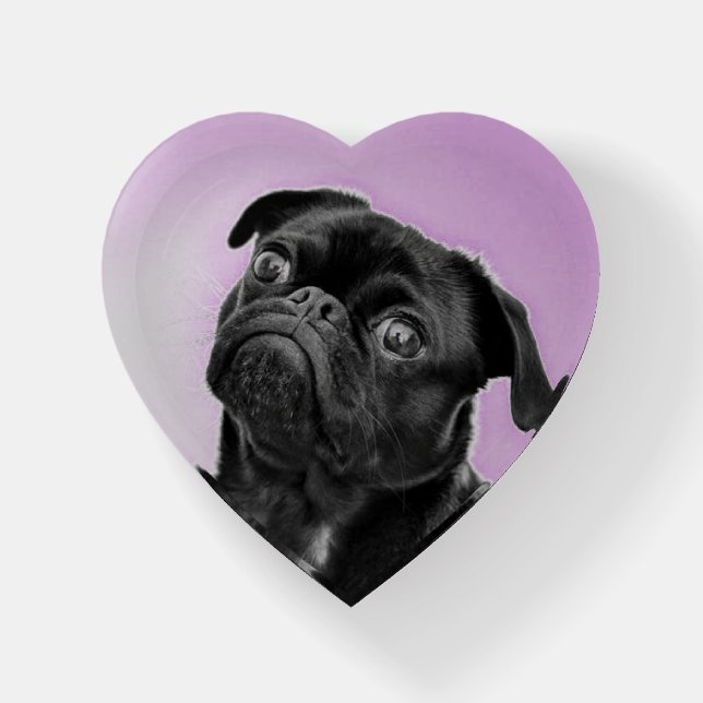 Black Pug Purple Paperweight (Front)