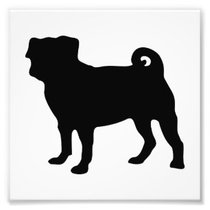 Black Pug Silhouette - Simple Vector Design Photo Print