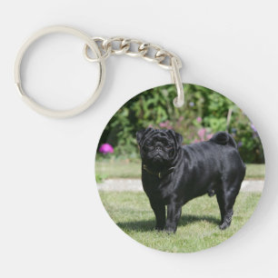 Black Pug Standing Looking at Camera Keychain