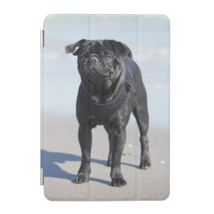 Black Pug Standing On The Beach iPad Mini Cover