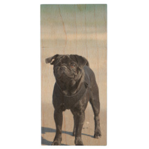 Black Pug Standing On The Beach Wood Flash Drive