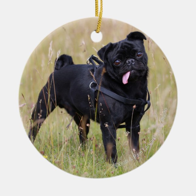 Black Pug Sticking Out Tounge Ceramic Ornament (Front)