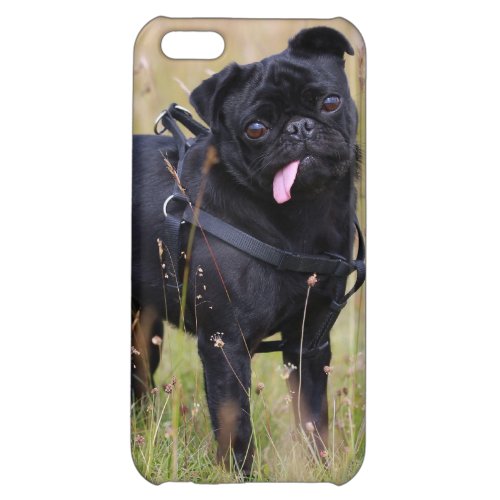 Black Pug Sticking Out Tounge Cover For iPhone 5C