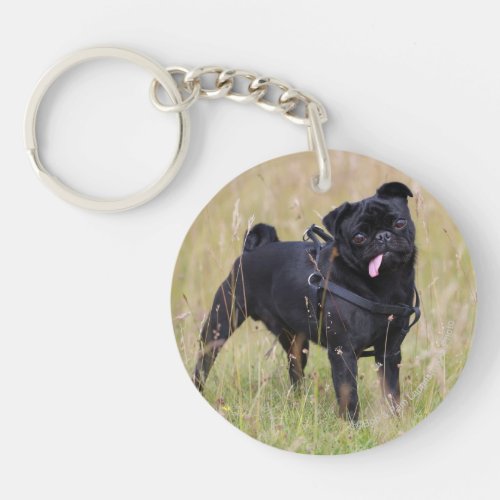 Black Pug Sticking Out Tounge Keychain