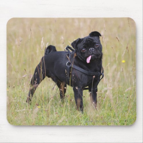 Black Pug Sticking Out Tounge Mouse Pad