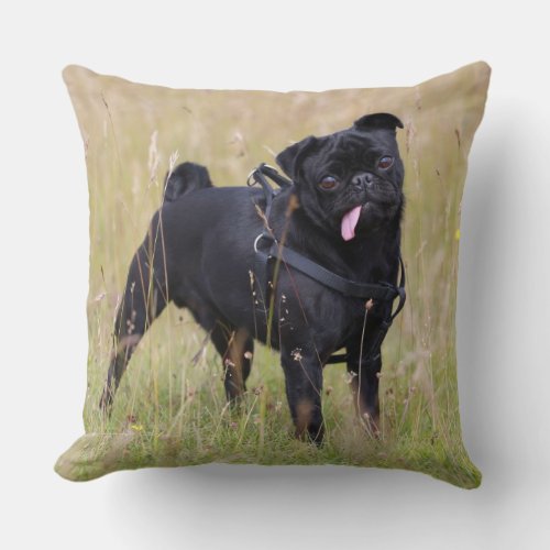 Black Pug Sticking Out Tounge Throw Pillow