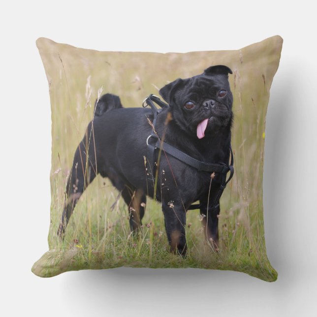 Black Pug Sticking Out Tounge Throw Pillow (Front)