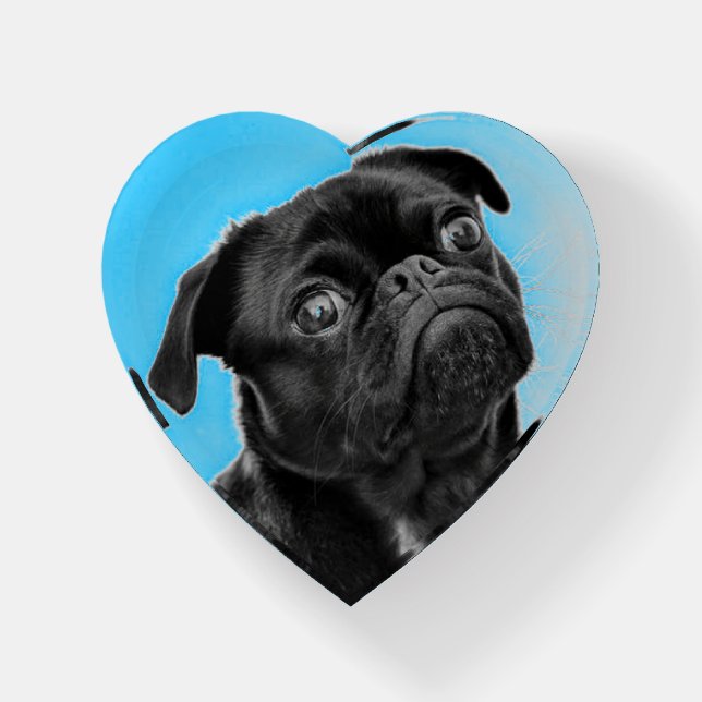 Black Pug Turquoise Paperweight (Front)