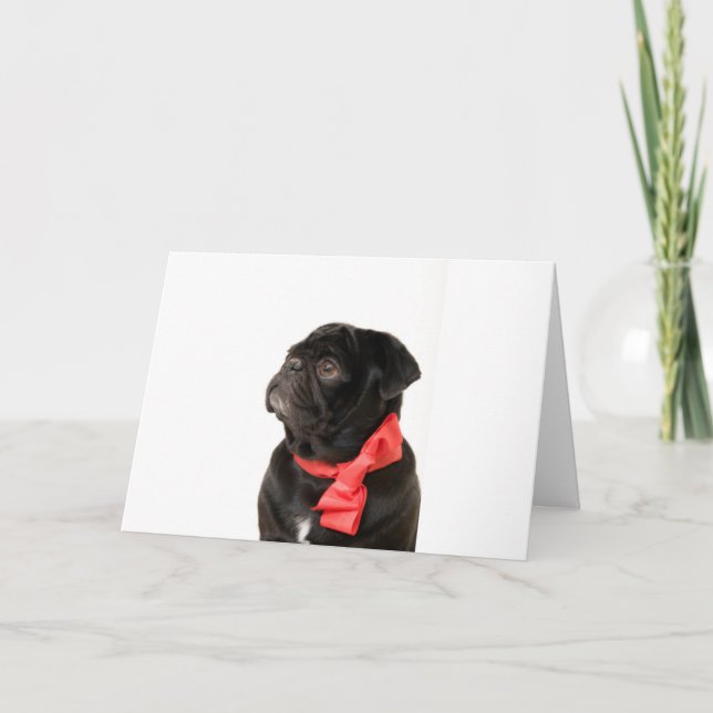 Black pug  with red bow holiday card (Front)