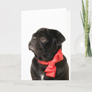 Black pug with red bow holiday card