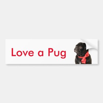 Black Pug  With Red Bow Love A Pug Bumper Sticker by Ilze_Lucero_Photo at Zazzle
