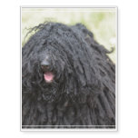 Black Puli Dog Temporary Tattoos