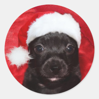 Black puppy dog Christmas Classic Round Sticker