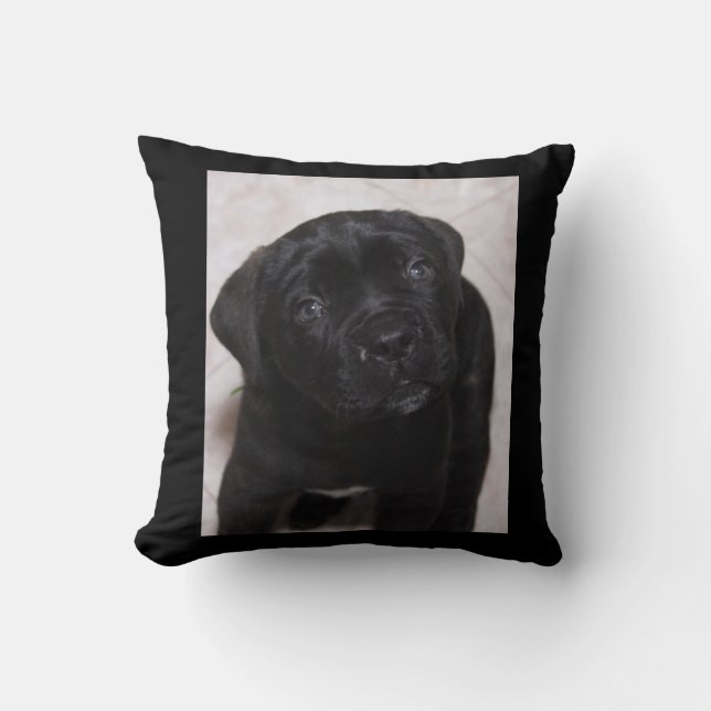 Black Puppy Pillow Photo (Front)