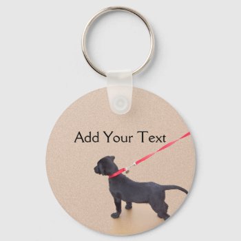Black Puppy Prints On The Beach Keychain by BeSeenBranding at Zazzle