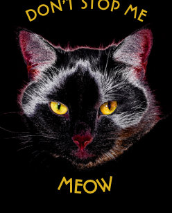 Cats Eyes Car Air Fresheners Zazzle