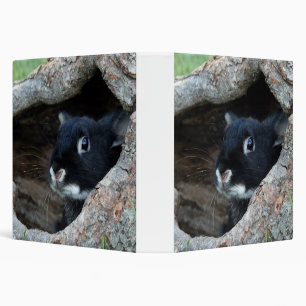 Black Rabbit in Hollow of a Tree 3 Ring Binder