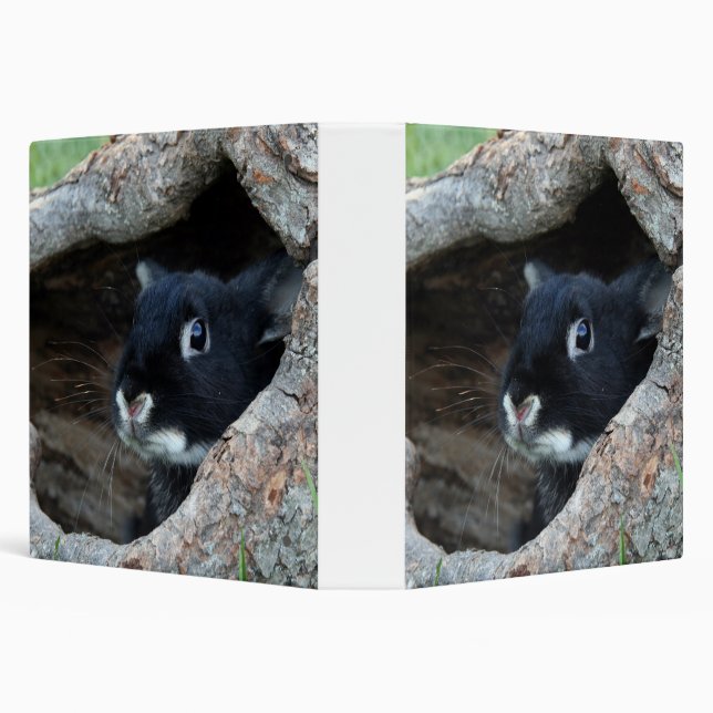Black Rabbit in Hollow of a Tree 3 Ring Binder (Background)