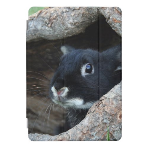 Black Rabbit in Hollow of a Tree iPad Pro Cover